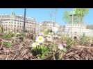 Coronavirus: Paris's Place de la Bastille bathed in sun on 20th day of confinement