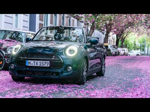 The new MINI Convertible Sidewalk and the beautiful colours of cherry blossom