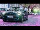 The new MINI Convertible Sidewalk and the beautiful colours of cherry blossom