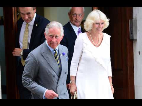 Prince Charles is still 'a workaholic' in lockdown