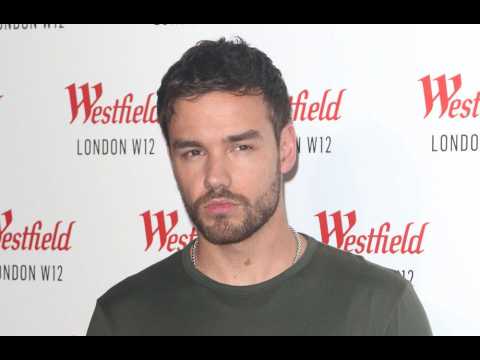 Liam Payne felt 'ridiculed' after first foray into music in 2008