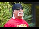 Hulk Hogan turned down role in 'The Wrestler'