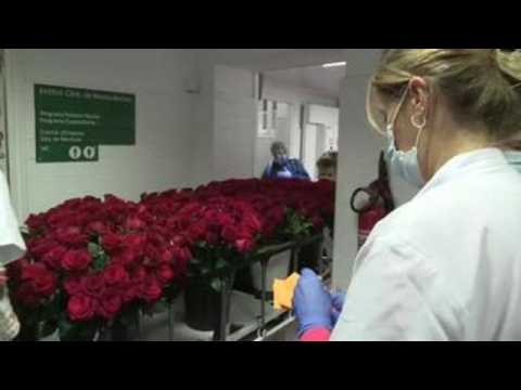 Florists donate 5,000 roses to hospital in Barcelona