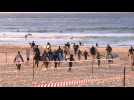 Surf's up: Sydney re-opens famous Bondi beach
