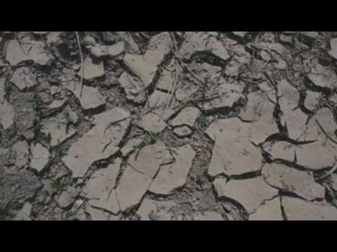 The Elbe river runs dry in Germany