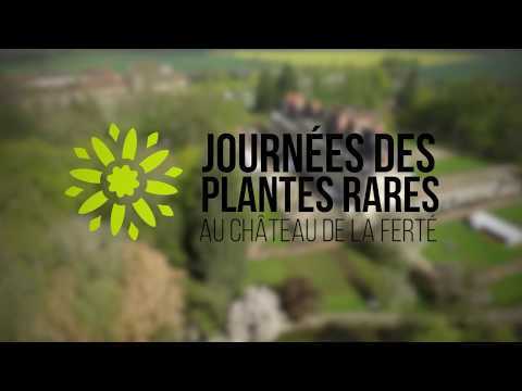 Saint-Ambreuil : présentation de la Foire aux plantes rares de la Ferté