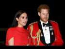 Prince Harry and Duchess Meghan want to 'contribute' to coronavirus relief