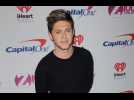 Niall Horan thinks he owes his career to good fortune