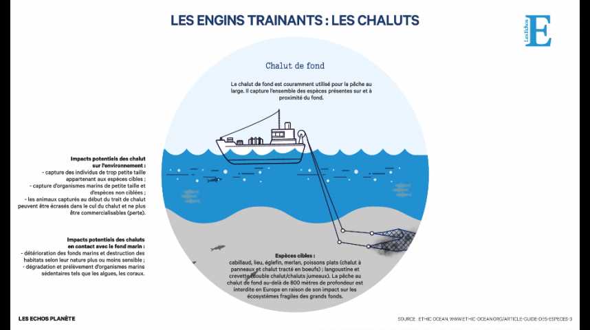 Engins Peche ACTIFS engins-peche-actifs