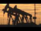 Texas oil opens with 1.46% rise due to production expectations