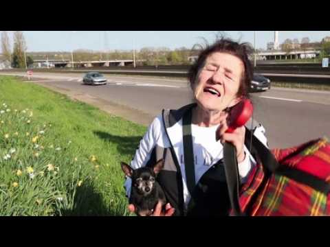 Vivre au bord de l'A31 à Metz-Nord en plein confinement et le contraste avec le centre ville
