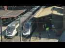 Coronavirus: medicalised train evacuates patients from eastern France - Label : AFPTV - First images - Category : News