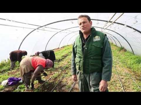 Coronavirus et agriculture : le plan de la cueillette de Peltre pour poursuivre son activité