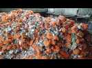 Saint Avold : tout savoir sur le tri des sacs orange