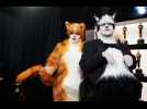 Cats movie sweeps Razzie Awards