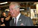 Prince Charles watching funny videos in isolation
