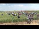 Environmental activists enter grounds of open-cast mine in Germany - Label : AFPTV - First images - Category : News