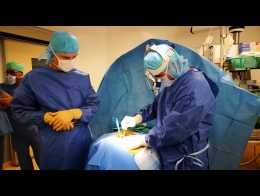 Omphalocele Hernie Ombilicale