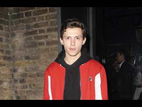 Tom Holland rescues panicky fan