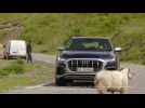The new Audi SQ8 Trailer