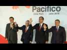 Vizcarra greets presidents at Pacific Alliance summit - Label : AFPTV - First images - Category : News