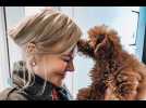 Nicole Kidman gets first ever dog