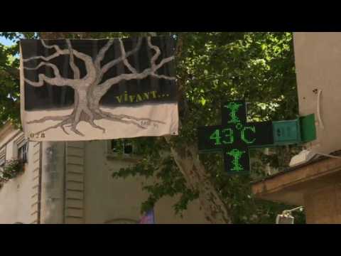 Carpentras temperature reaches 43°C by midday
