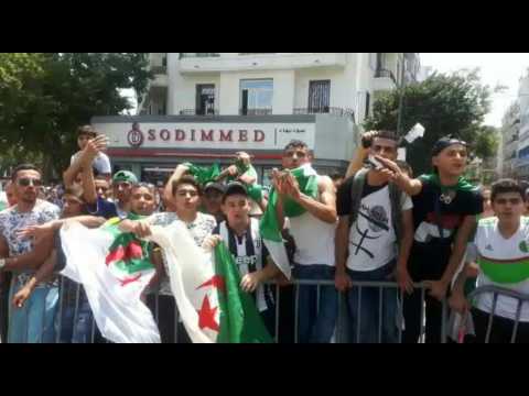 AFCON-2019: Algerians gather in mass to greet Africa Cup champs