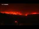 More than 800 firefighters battle wildfires in Portugal