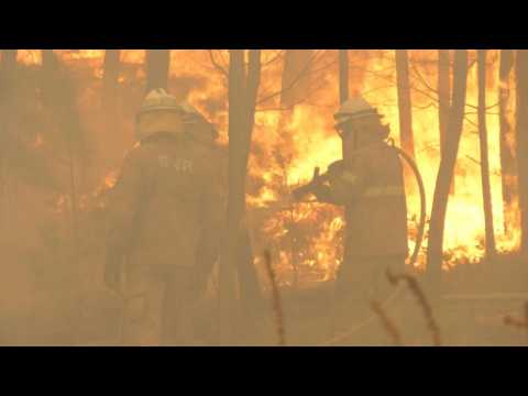 Portugal firefighters still battling against wildfires