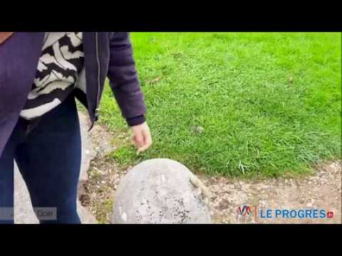 Camille Jourdy, illustratrice et auteure de bande-dessinée originaire de Dole