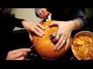 PUMPKIN 2019 - Label : L'Alsace - Category : News