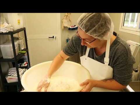 A Senoncourt, le GAEC Thomas fabrique ses yaourts et fromages de lait de brebis