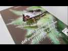 Une passion pour les punaises - Label : L'Est Républicain - Category : Animaux