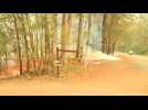 Fire razes eastern Australia - Label : AFPTV - First images - Category : News