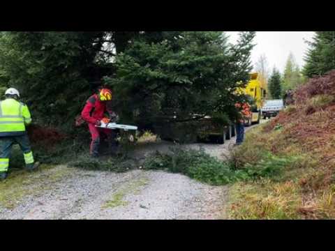 Vidéo. La coupe du sapin de Noël de Remiremont comme si vous y étiez