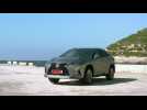 2020 Lexus RX 450h Luxury silver Trailer