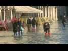 Floodwaters continue to cover Venice's San Marco Square