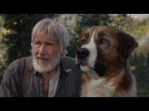 L'Appel de la forêt - Bande annonce 2 - VO - (2020)