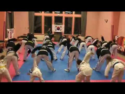 Rémering-lès-Puttelange (57) : deux grands maîtres d’arts martiaux coréens en visite à Taekwondo RLP