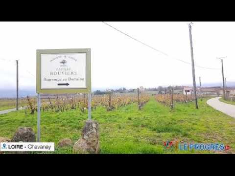 La famille Rouvière annonce le salon des vins de Chavanay qui se tient du 13 au 16 décembre