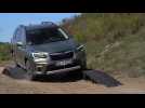The new Subaru Forester ECO HYBRID Trailer