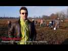 Montage plantation - Label : Les Dernières Nouvelles d'Alsace - Category : News