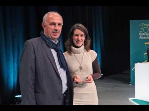 Woodlight : de la science-fiction à la réalité