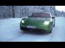 Porsche Taycan 4S in Mamba Green Driving Video