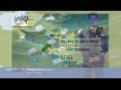 Dimanche en Alsace : brume et brouillards