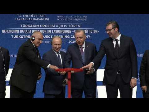 Putin, Erdogan, Vucic and Borisov inaugurate Turkstream pipeline