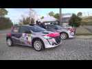 Peugeot 208 Rally 4 Design