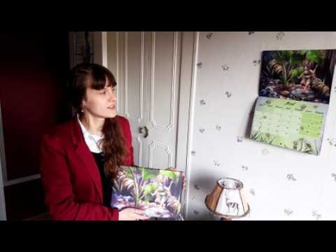 Bar-le-Duc (55) : Ellie, dessinatrice meusienne a lancé un financement participatif pour la réalisation de son calendrier