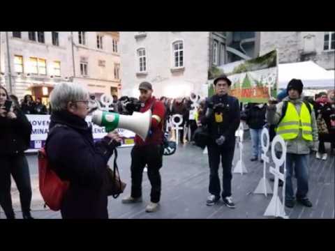 Plusieurs centaines de manifestants pour dénoncer les violences faites aux femmes à Besancon